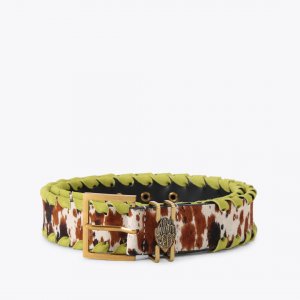 Kurt Geiger Shoreditch 40 Belt - Brown